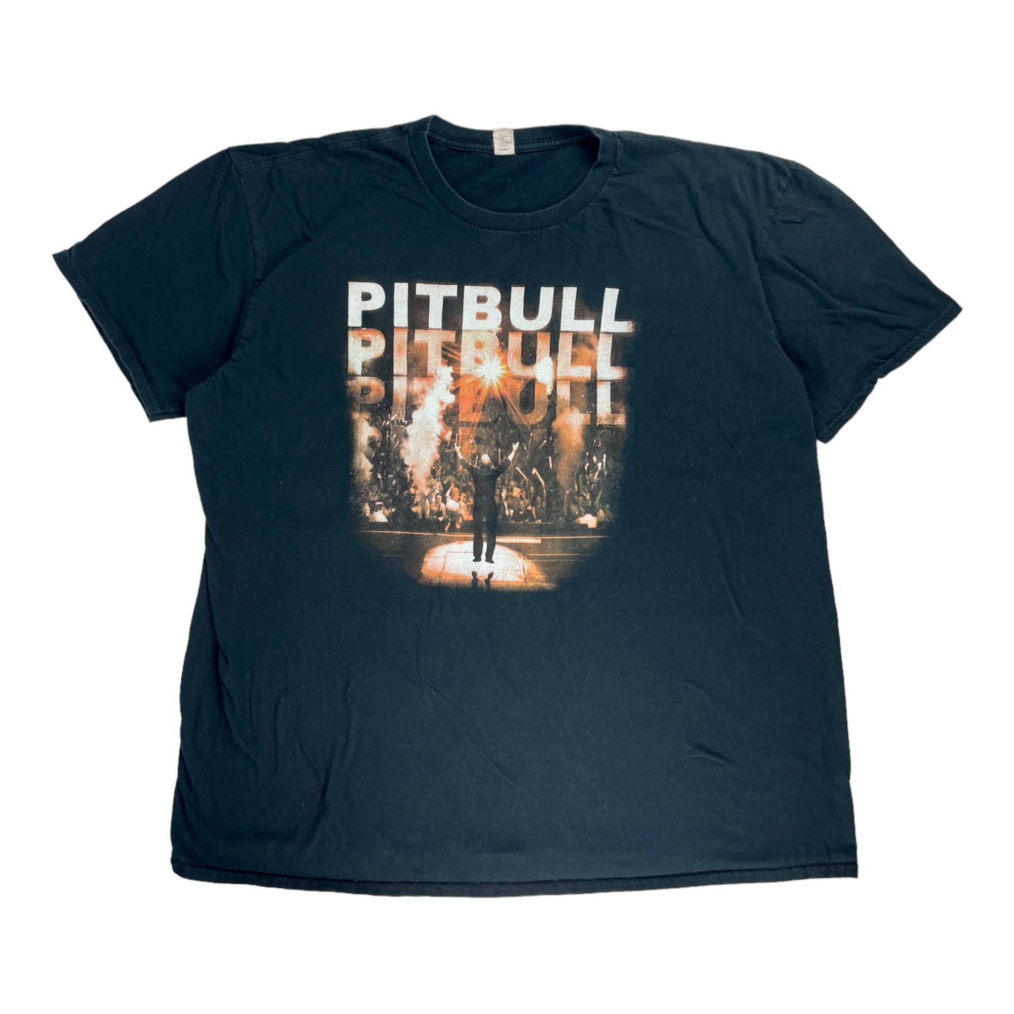 Vintage Pitbull T-Shirt